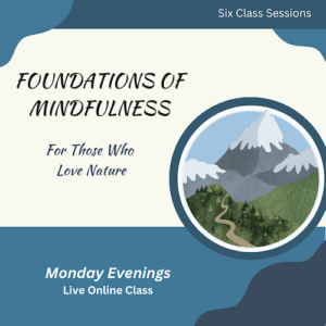 Foundations of Mindfulness Class