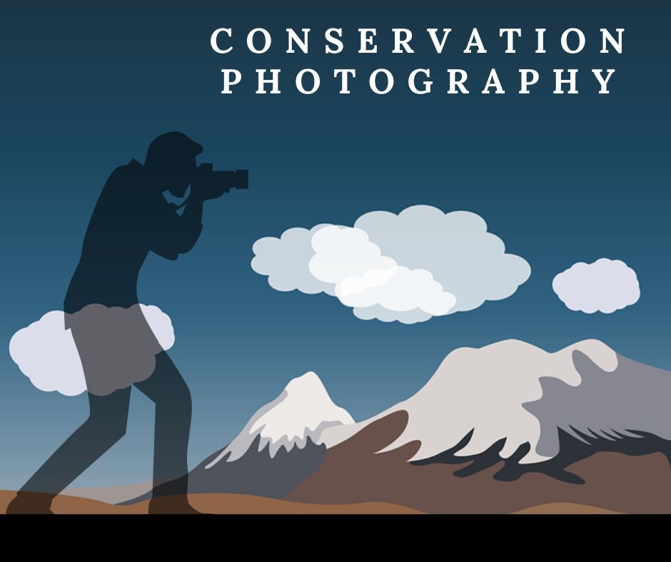 Conservation Photography