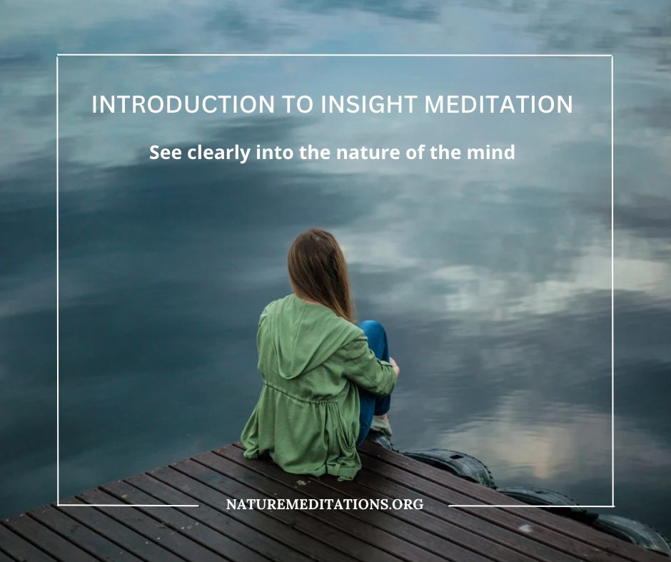 insight meditation