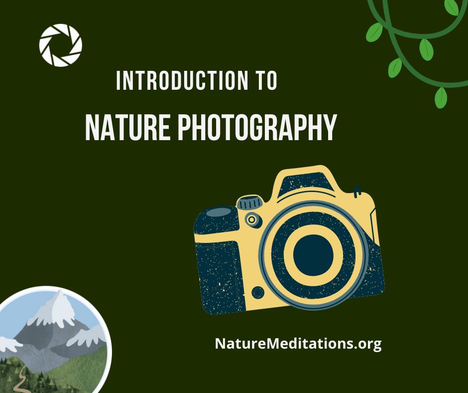 nature photography