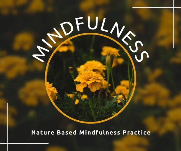 NBMP Nature Based Mindfulness Practice